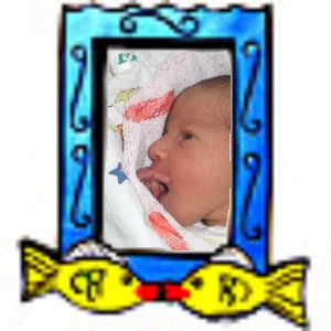 Profil